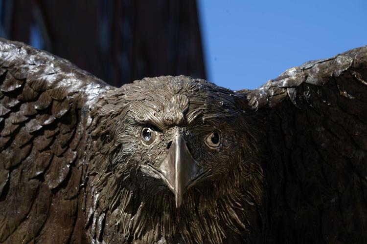 A new eagle has landed News