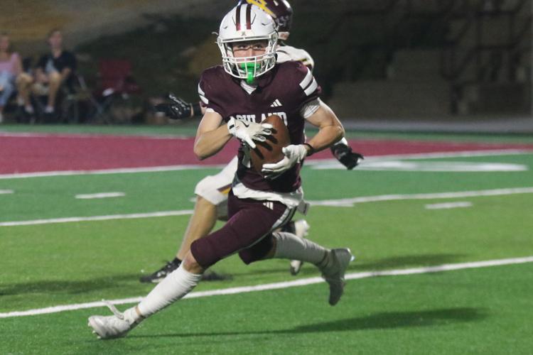 Tomcats topple Red Devils: Ashland lands punches in bunches, overpowers ...