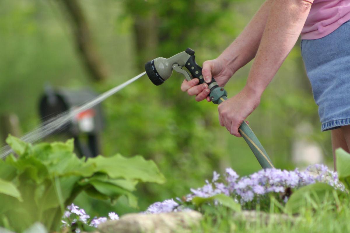 Gardening 101: Watering
