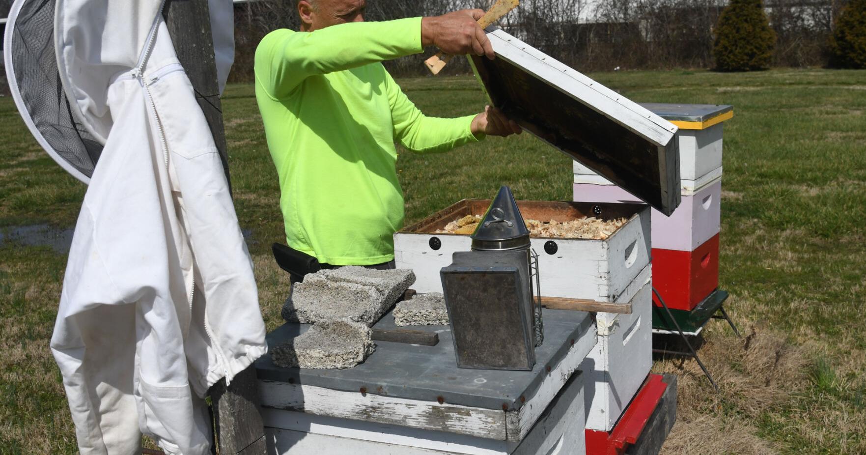Bee-coming a keeper: How Greenup County is abuzz with beekeeping - Vimarsana News