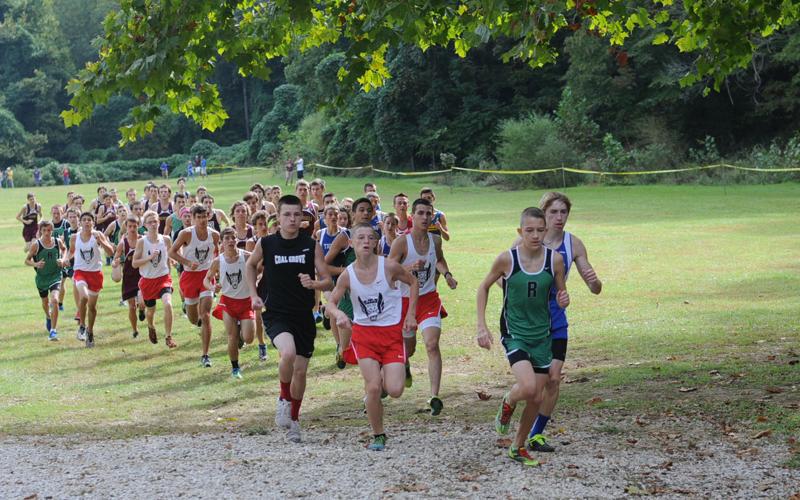 Cross Country Full pride intact for Lady Lions Sports