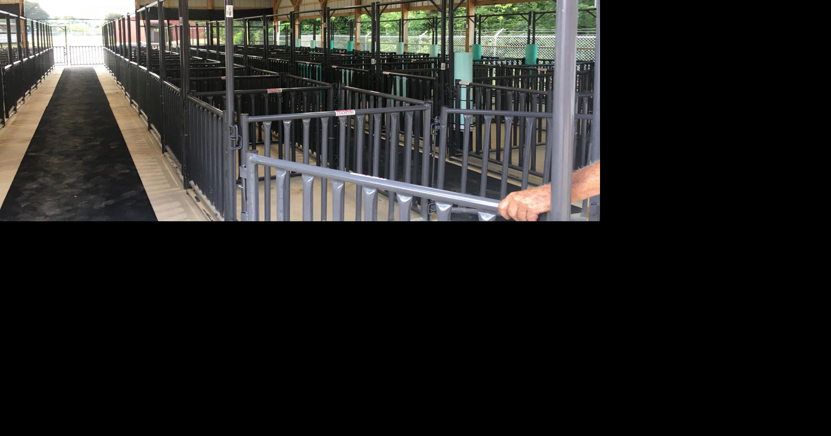 Greenup County Fair returns News