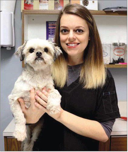 Duncil Stays Pawsitive During Life Transitions Dailyindependent Com