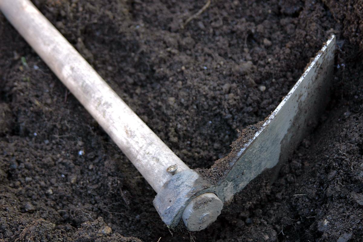 Gardening 101: Garden Soil