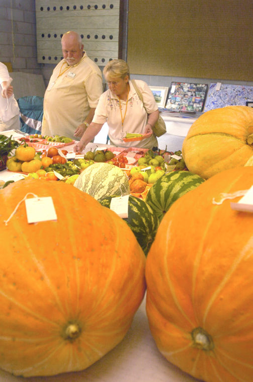 Greenup County Fair celebrates 60 years Local News