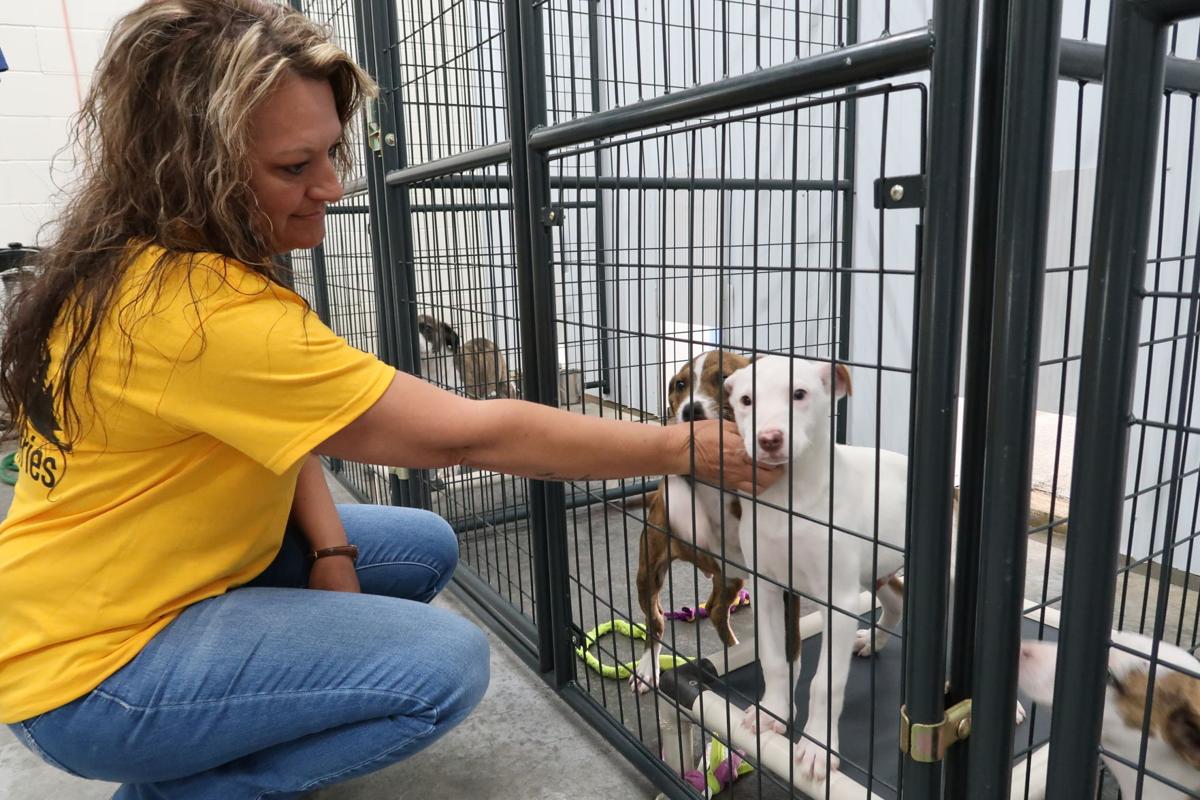 Carter County Animal Shelter expected to pay for itself News