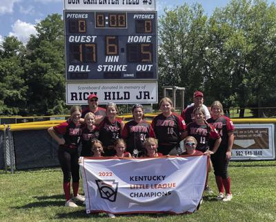 Va. Little League softball team disqualified ahead of championship for  social media post