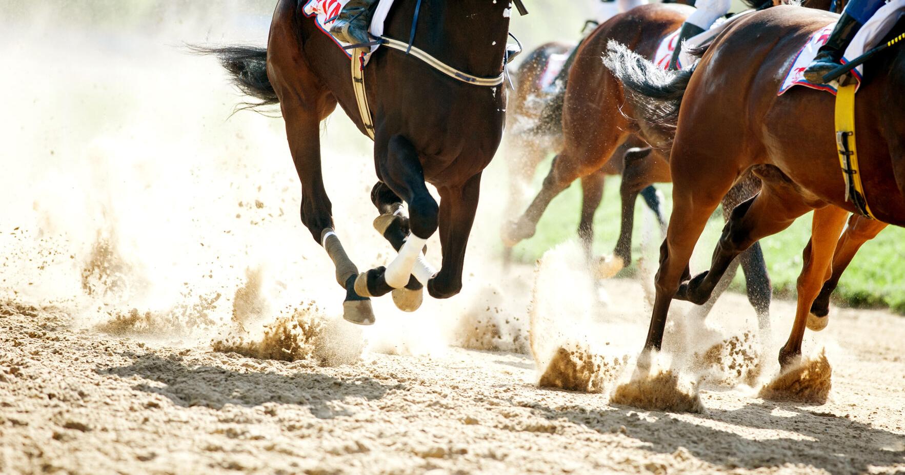 Horse racing to come to Boyd - Vimarsana News