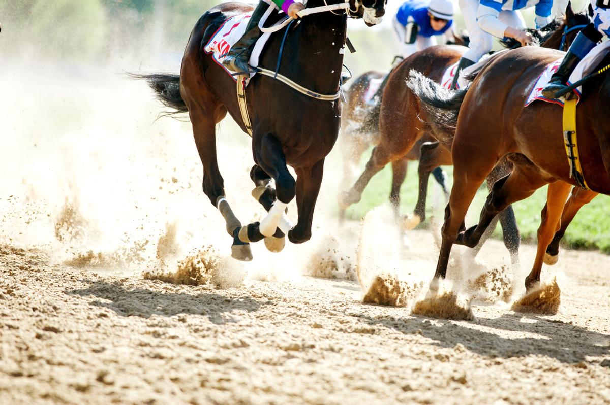 Horse racing to come to Boyd | News | dailyindependent.com