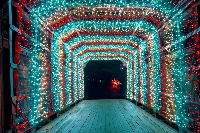 Trucking company sponsors free admission to Joy Through the Grove tonight - Vimarsana News