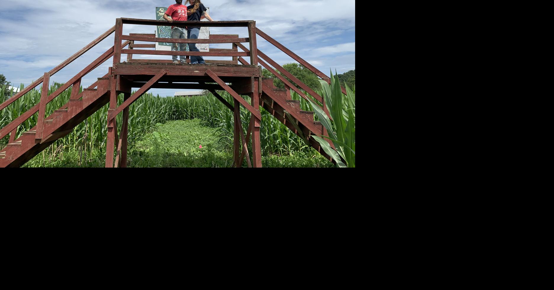 Fall for fun at local farms