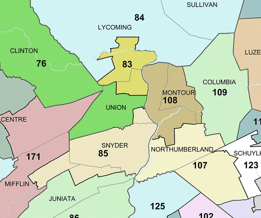 2022 Pa. Primary: New voting maps mean new districts, reps in Valley, Election
