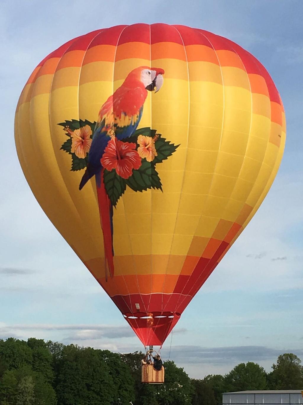 Hot Air Balloons in beautiful colors drift along a 1.5 white grosgrain  ribbon, 10 yards
