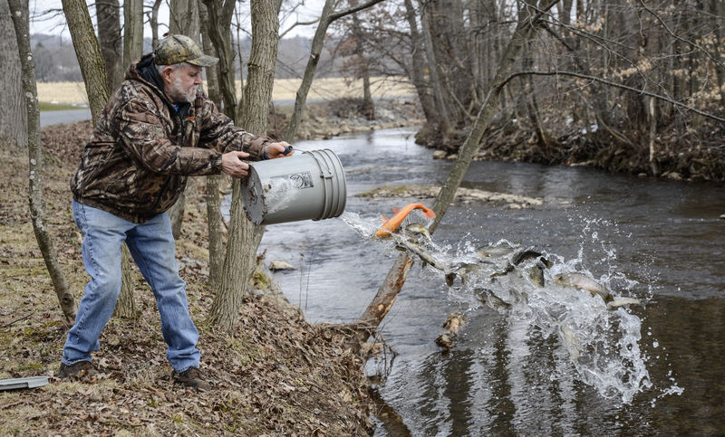 Commission releasing more trophy-sized trout into state's waterways, News