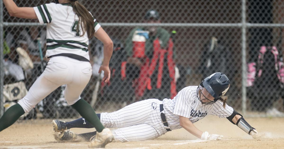 Stewart, 'Cats walk into semifinals