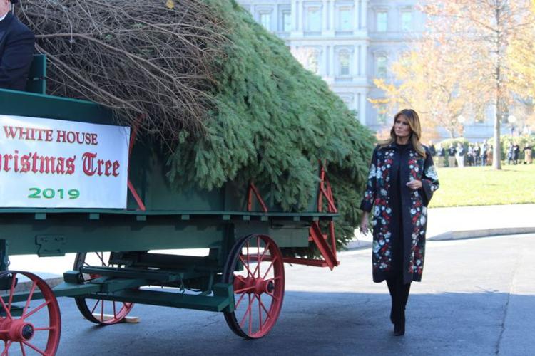 Northumberland County family greeted by Melania during White House Christmas tree delivery