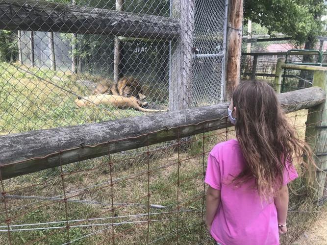 Animal sanctuary celebrates 30 years of operation Snyder County