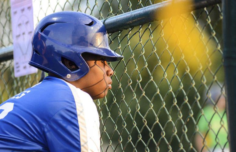 Pair of big innings lift NewtownEdgmont Local Sports