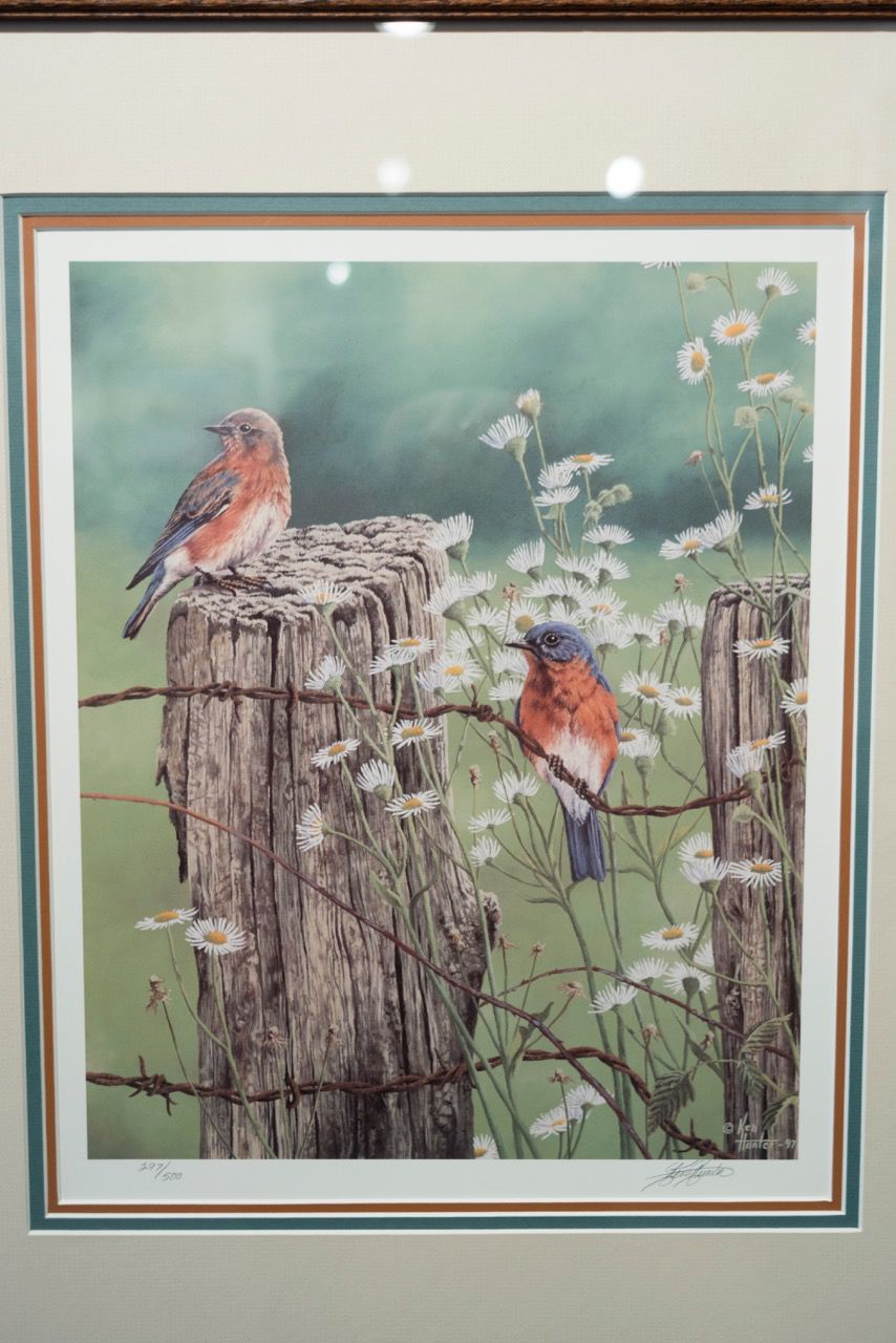 Outdoor artist offers advice for honing skills Applause