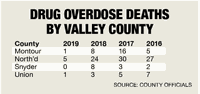 DRUG OVERDOSE DEATHS BY VALLEY COUNTY
