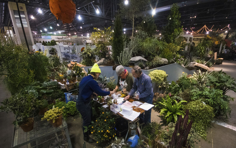 Selinsgrove man helps run biggest flower show in world