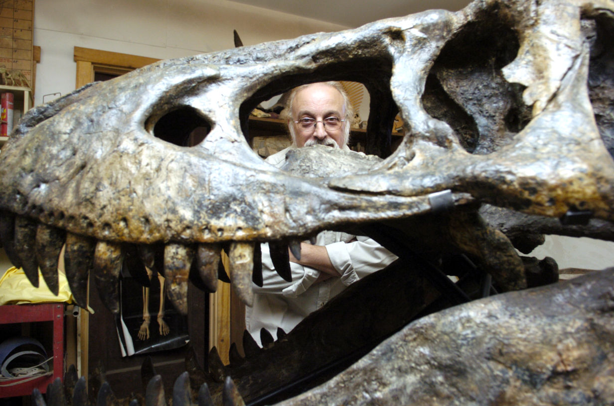 70 Million Year Old Skull Reassembled Bound For Mexico News Dailyitem Com 