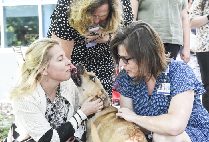 Animals from SPCA make de-stressing visit to Geisinger | News |  