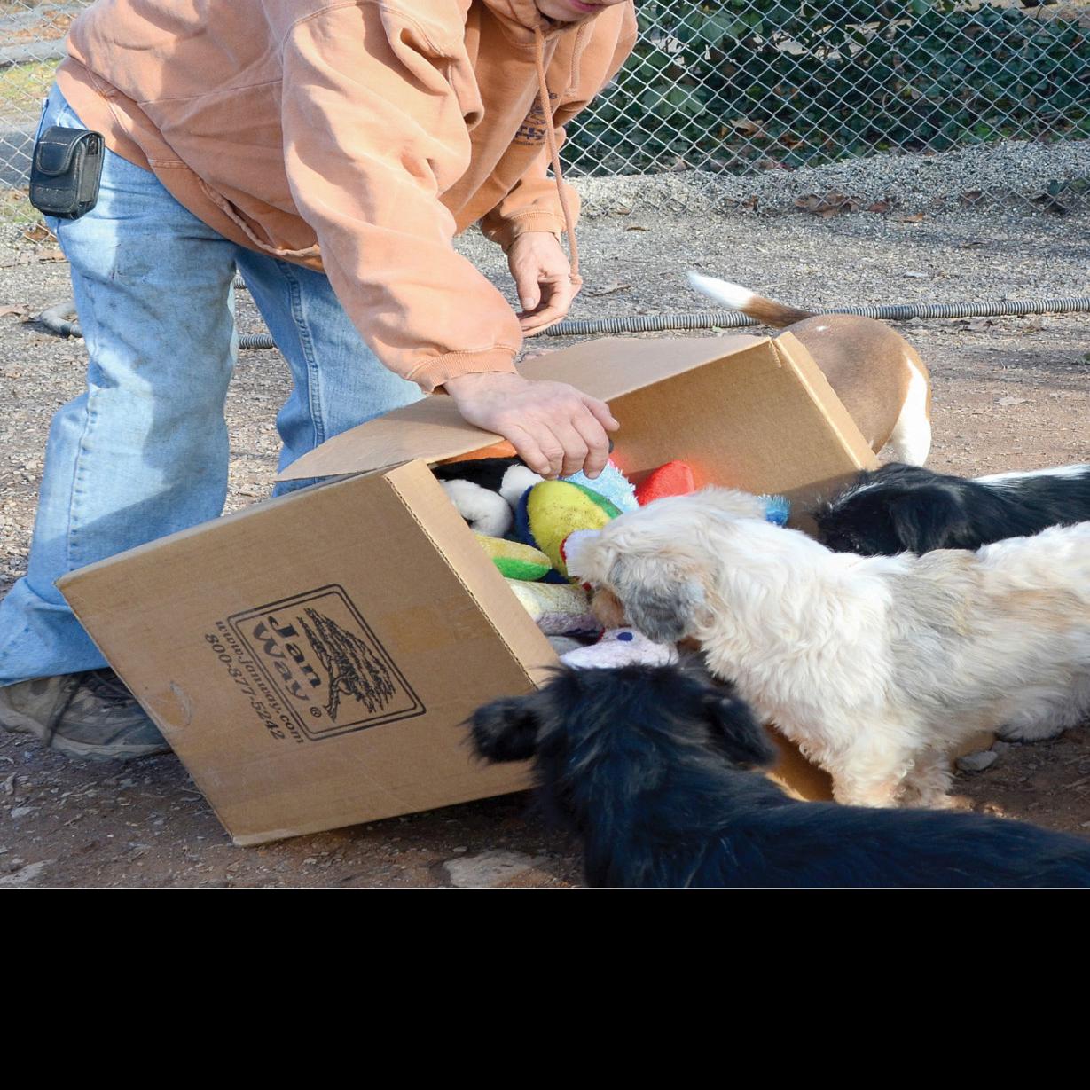 A Look At Our Local Shelters Dailyitem Com