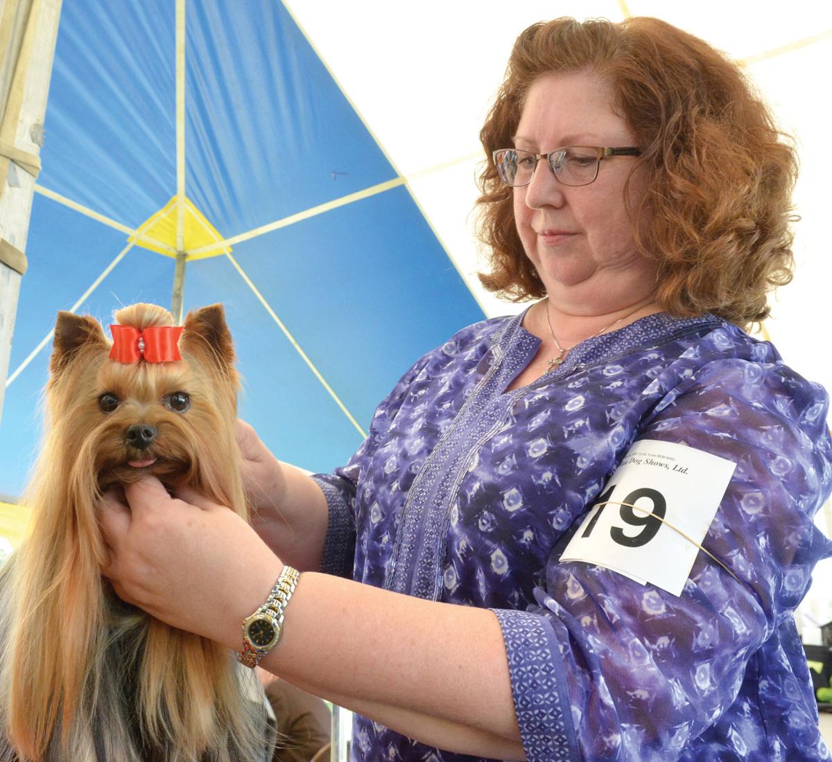 Dog Show In Bridgewater Nj Dog Show In Bridgewater Nj