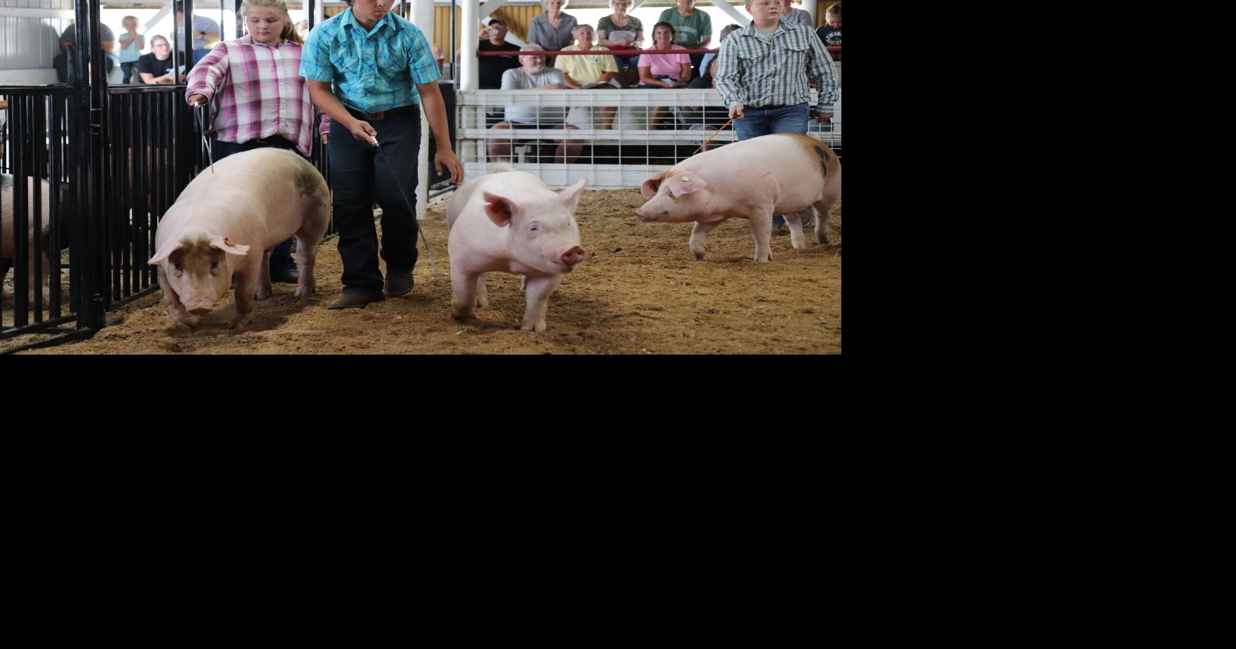 Beaver Community Fair celebrates decades of tradition