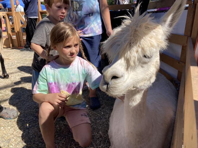 Selinsgrove Market Street Festival returns for 43rd year News