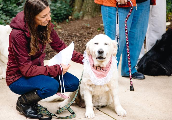 Jared Rutt Loving companions receive special blessing | News | dailyitem.com