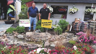 Water Garden Fish Expert Brings Knowledge Experience To