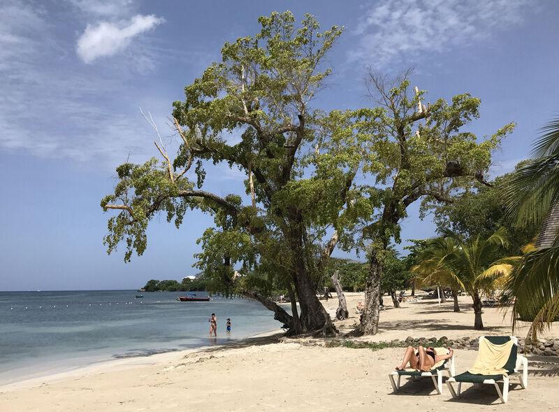 Travel rules complicate trip to Caribbean beach Jamaica travel