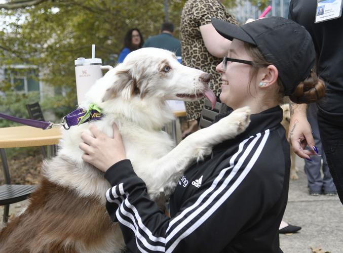 Geisinger employees relieve stress, bond with local sheltered animals