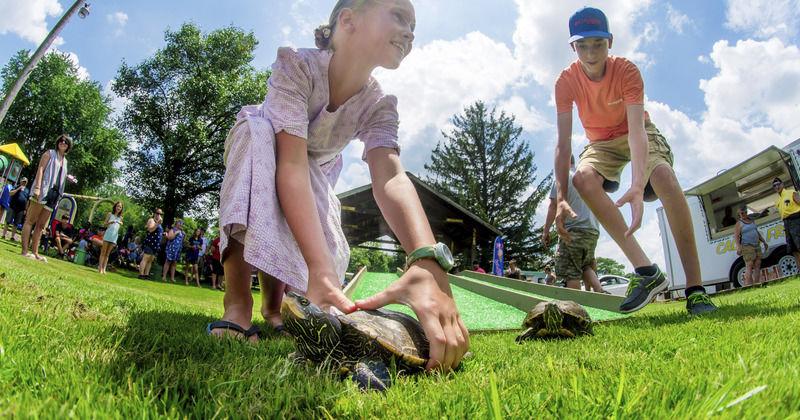 Competition in full speed at annual Turtle Race | Local News ...