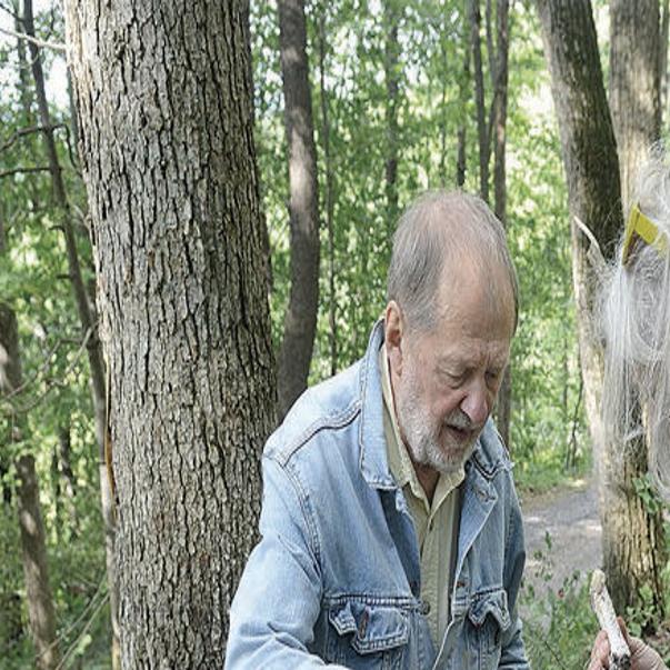 Wild Mushrooms Pick Your Poison News Dailyitem Com