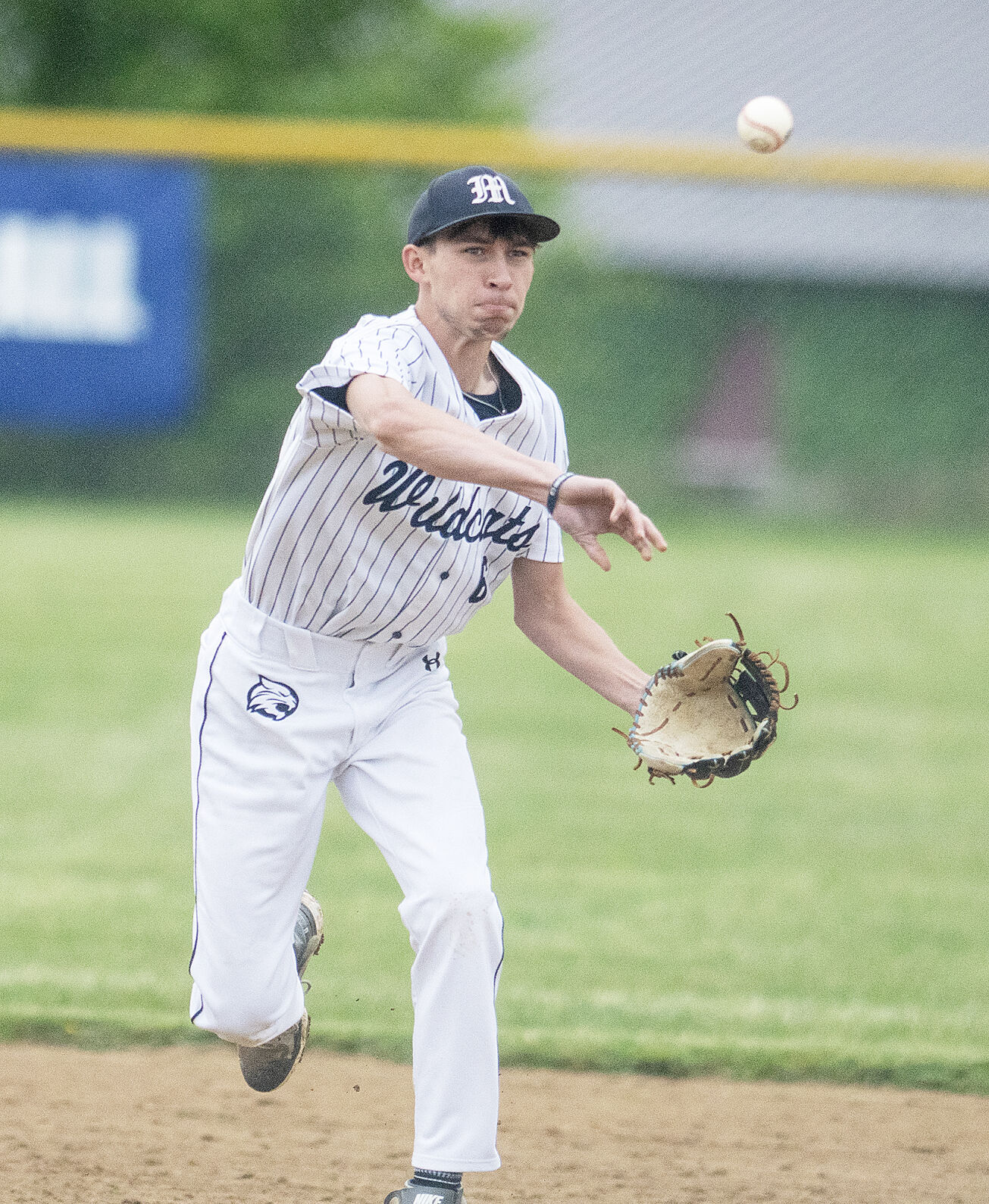 Valley’s Eight Baseball Teams Qualify for Districts: Danville Leads Class 4A, Selinsgrove No. 1 in 5A
