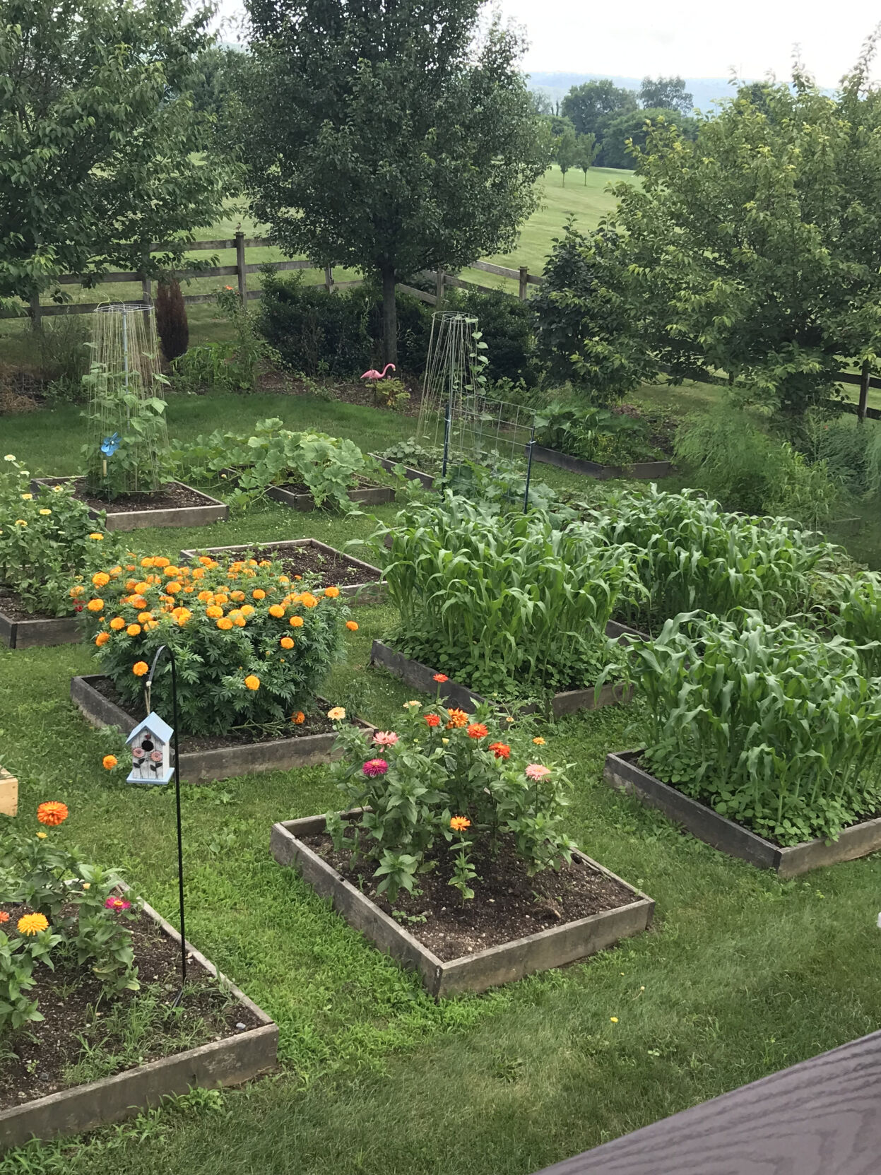 Create an efficient backyard garden | | dailyitem.com