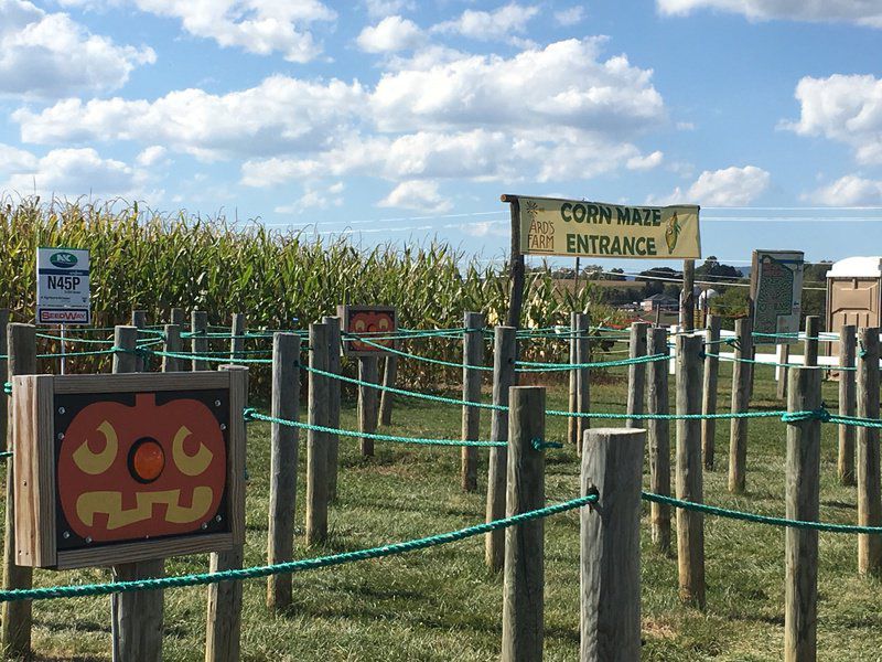 ard's farm pumpkin patch