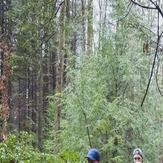 Pennsylvania State Park And Forest Facilities Closing For 14 Days