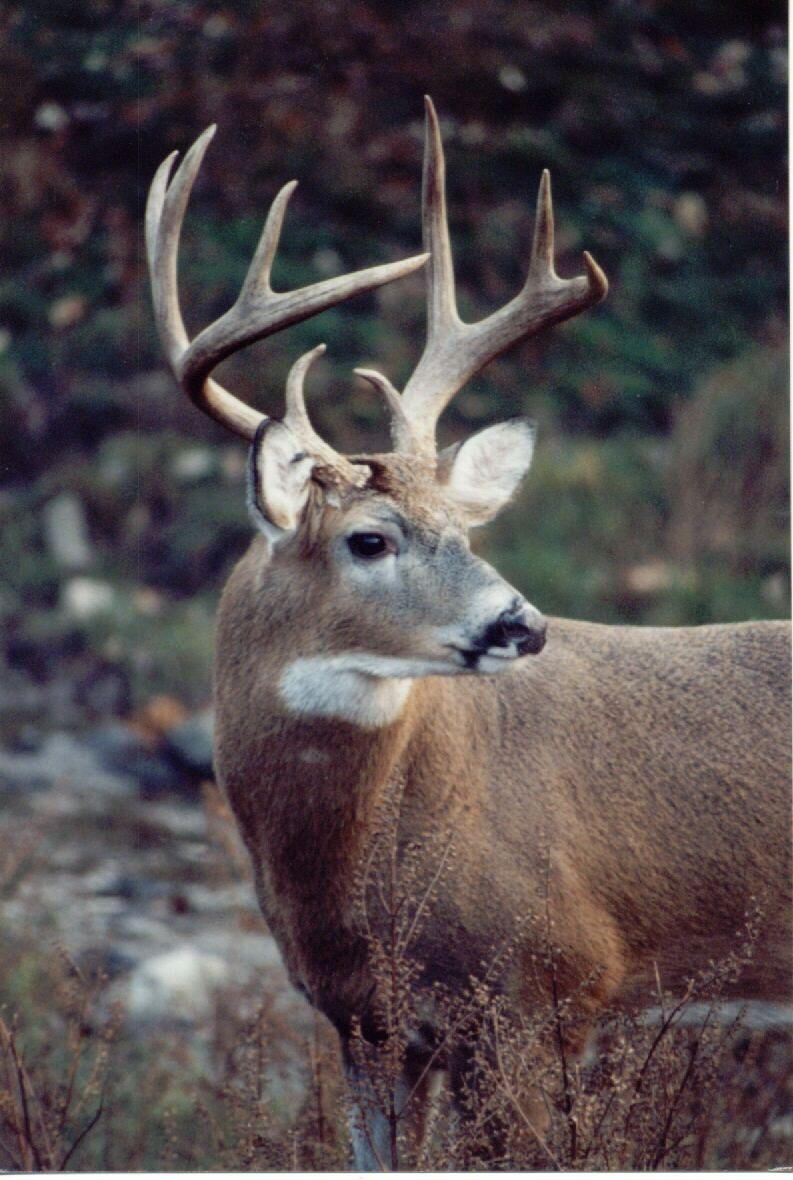 Safety first and foremost Sports