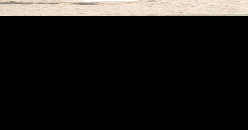 Walter one of Patriot League's top baseball stars | Sports | dailyitem.com