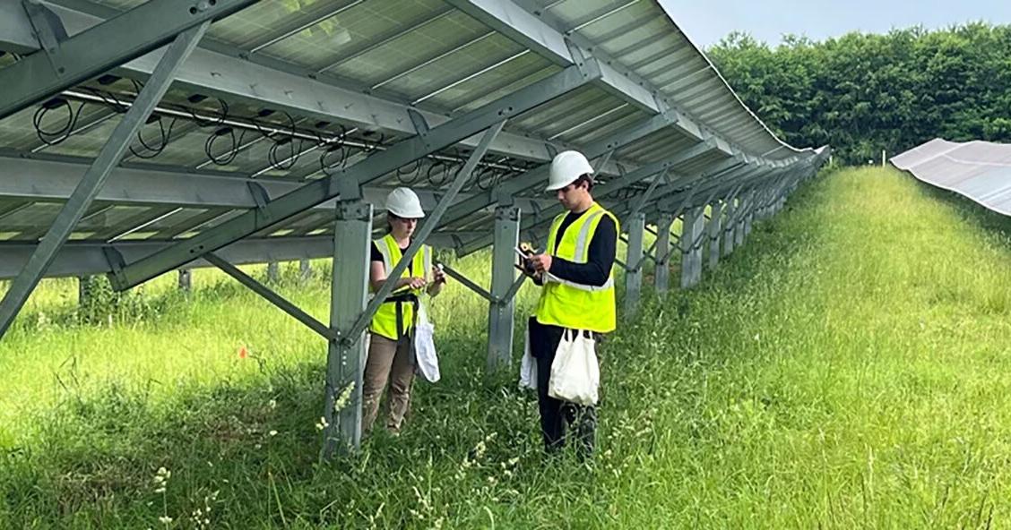 SU research seeks to reveal hidden habitat beneath solar array