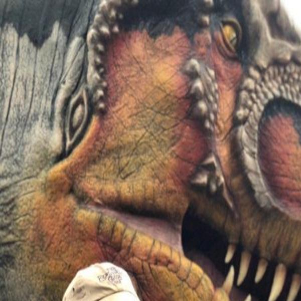 Entertainment, education on tap at Reptiland's Dino Days ...