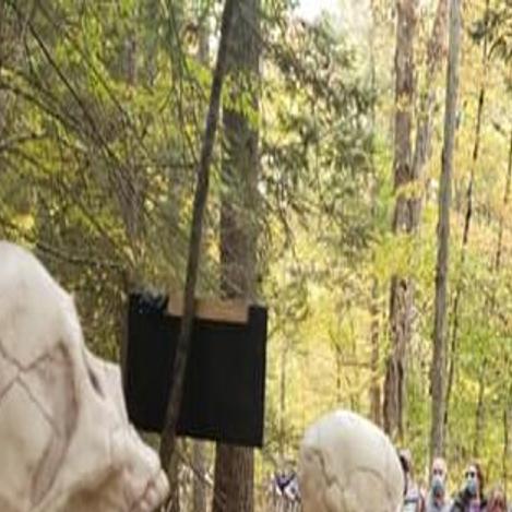 Frights and fun at Valley Halloween festivities | Applause ...