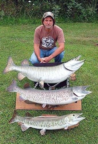 Outdoors: Susquehanna muskies, and a man who hunts them, Local Sports