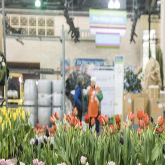 The Ultimate Guide To The 2020 Philadelphia Flower Show News