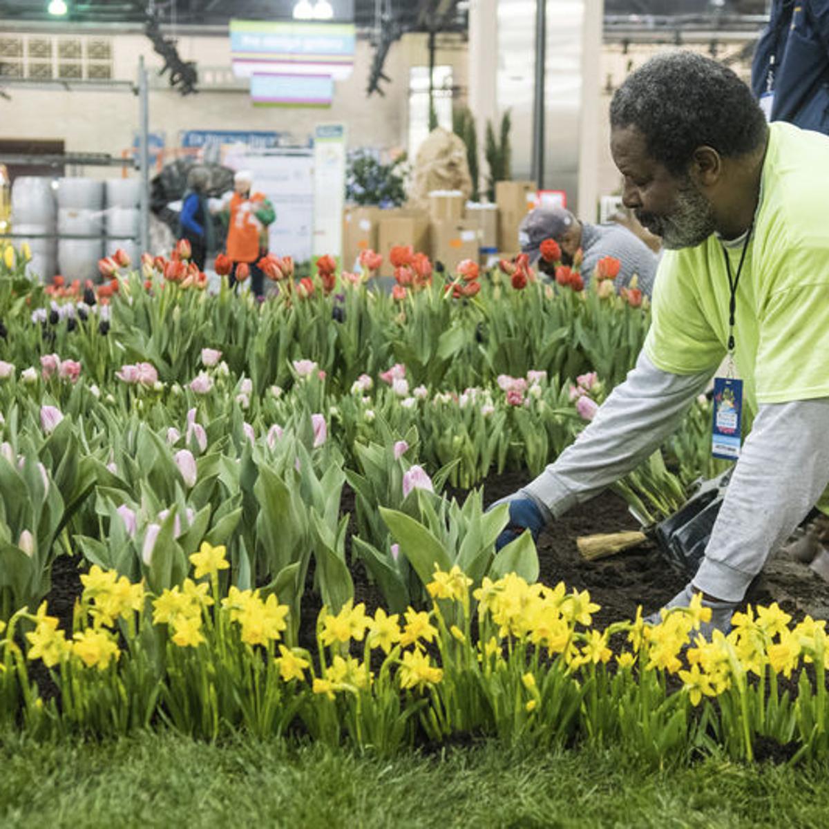 The Ultimate Guide To The 2020 Philadelphia Flower Show News