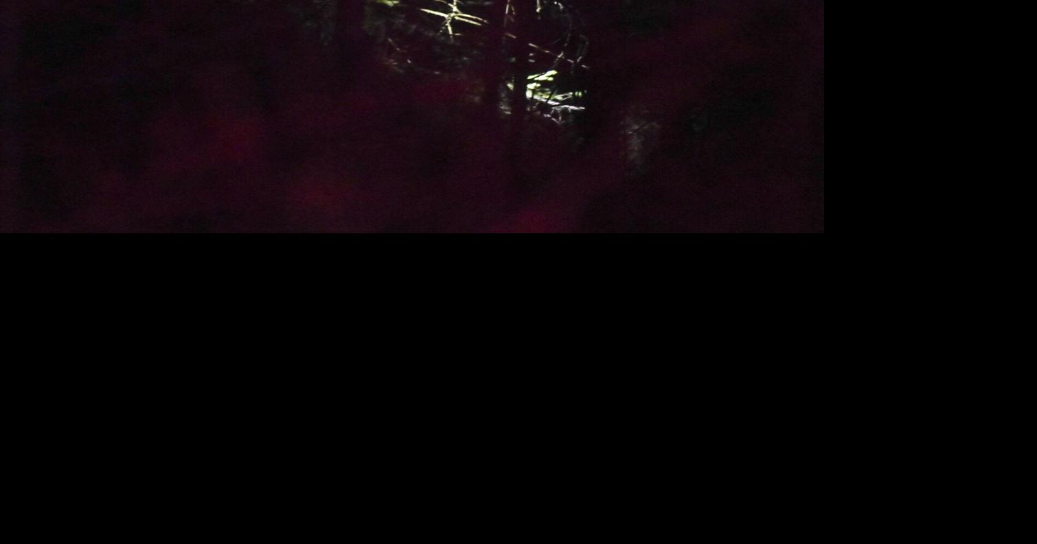 UPDATE Game Commission, CDC responding to crash involving monkeys near